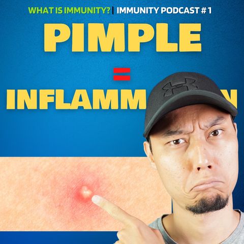 Are pimples caused by inflammation?