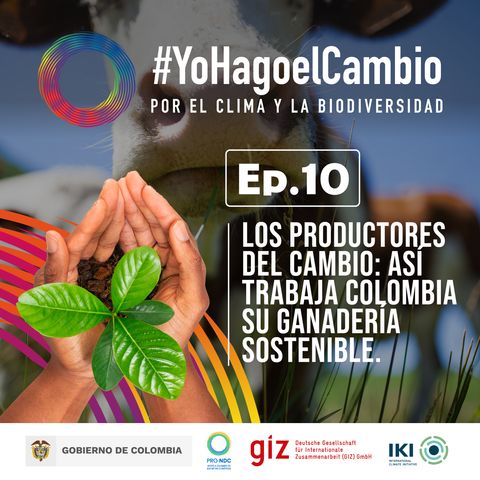 Ep. 10 Los productores del cambio: así trabaja Colombia su ganadería sostenible