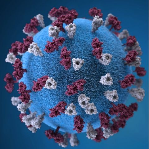 México rebasa a Francia en muertes a causa de coronavirus