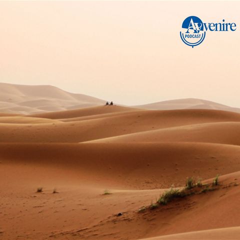 Sahara, i tre colori dell'universo di sabbia