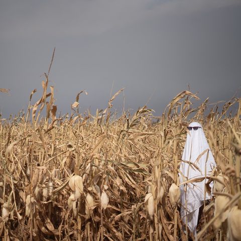 Il Fantasma Formaggino