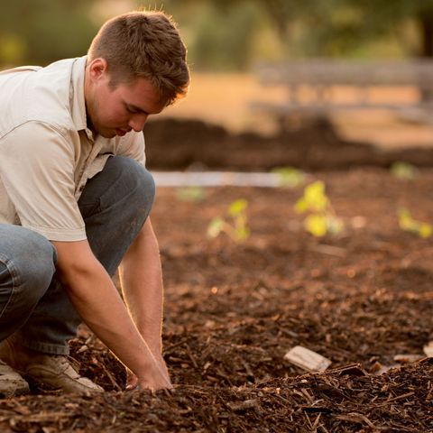 Agriexperience: una giornata da contadino