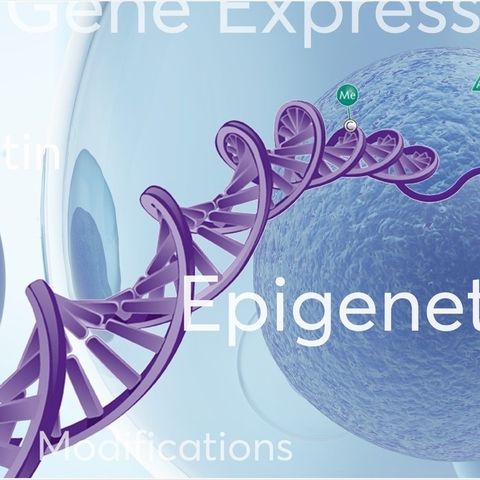 Epigenetics with Ishika: Episode 5: Quebec Ice Storm