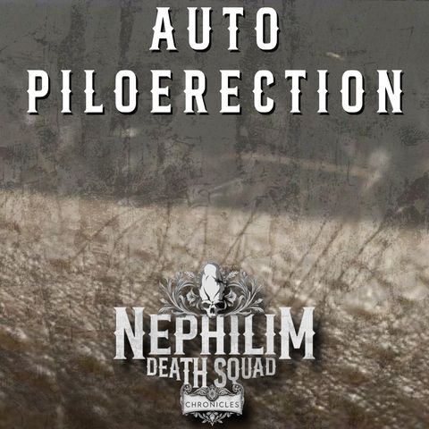009: NDS Chronicles - Auto Piloerection