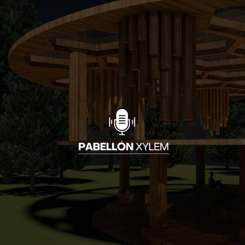 PABELLON XYLEM - Francis Kere