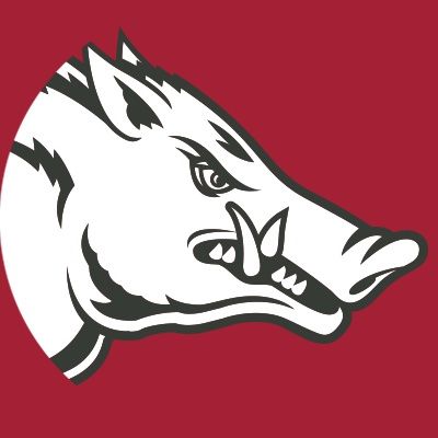 Arkansas S Jalen Catalon
