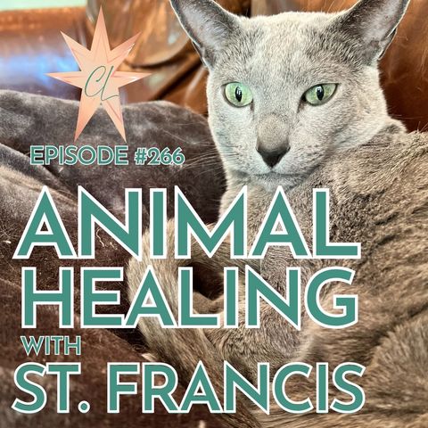 266: Animal Communication and Working with St. Francis for Healing
