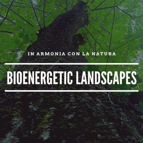 1.0 Cos'è Bioenergetic Landascapes?