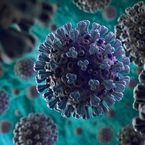 OMS investigará origen del coronavirus en China