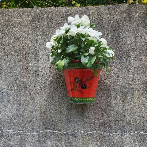 Talking about pot on wall