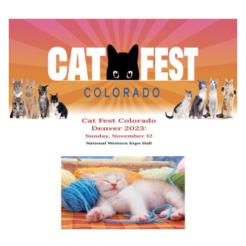 CO Cat Fest Denver 2023