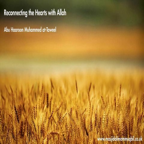 Reconnecting the Hearts with Allah | Abu Haroon Muhammad at-Taweel