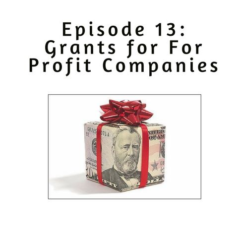 Ep 13: Grants for For Profit Companies