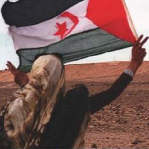 L'oppressione del popolo Saharawi: L'Italia non volti le spalle