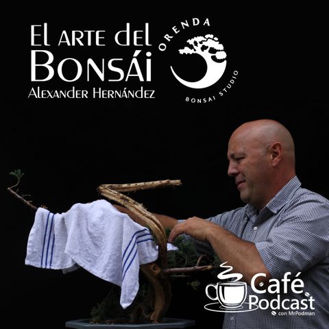 ¿EL ARTE DEL BONSÁI? - Un arte milenario que tiene mucho que enseñarnos - Café Podcast