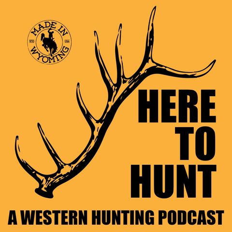 Copertina del podcast