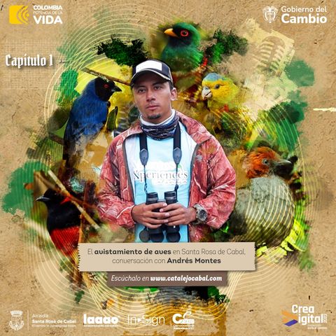 Capítulo 1 - Aviturismo