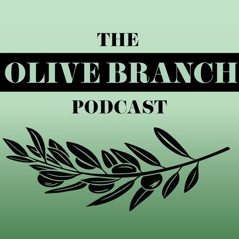 The Olive Branch Ep. 3: Post-Election Talks