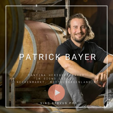 VSP 04 (DEU) Neue Wege für uns und die österreichische Weinkultur | Patrick Bayer Weingut in Signo Leonis final
