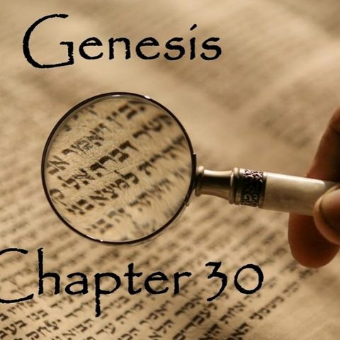 Gensis Chapter 31