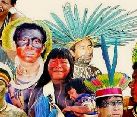 Povos Indígenas: saberes e técnicas