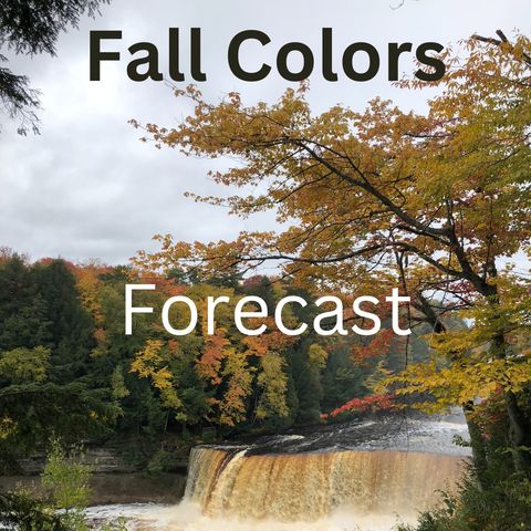 Episode 37: Michigan Fall Colors Forecast (Sept. 17-18, 2022)