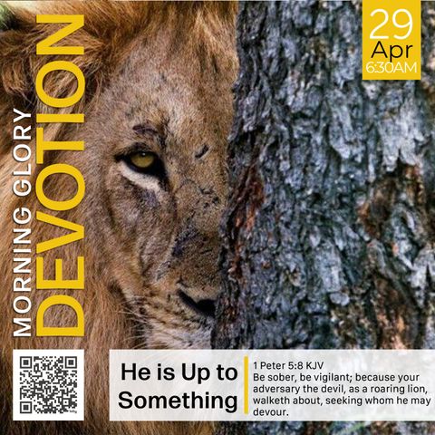 MGD: He is Up to Something