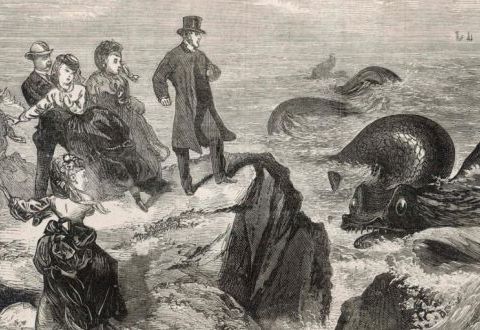 The Oilliphéist & other Irish Sea Beasts
