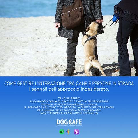 #052 - Come gestire l'interazione tra cane e persone per strada. I segnali dell'approccio indesiderato.