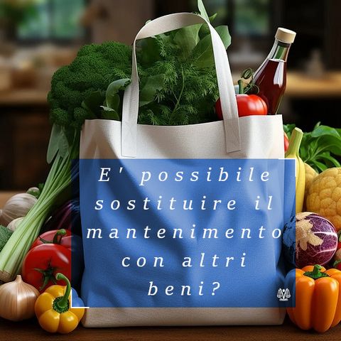 Sostituire il mantenimento con altri beni: è possibile?