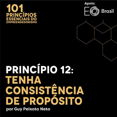 Princípio 12: Tenha Consistência de Propósito