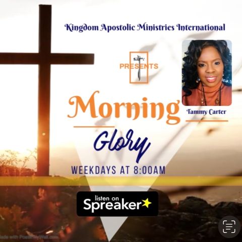 Morning Glory