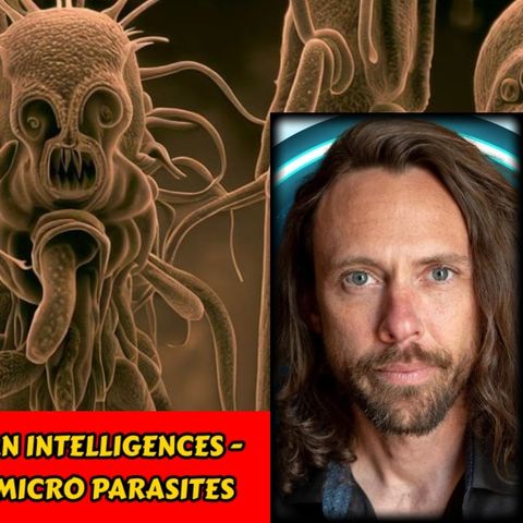 Motivation of Non-human Intelligences - Food for the Archons - Micro Parasites | Brandon Thomas