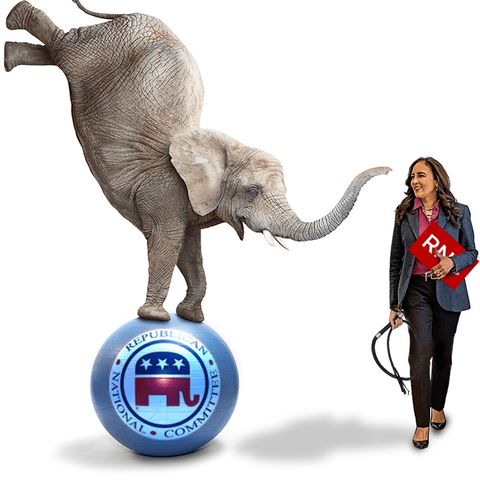 Elephant Trainer