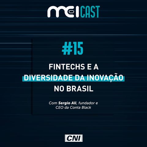 #15 - Fintechs e a diversidade da inovação no Brasil