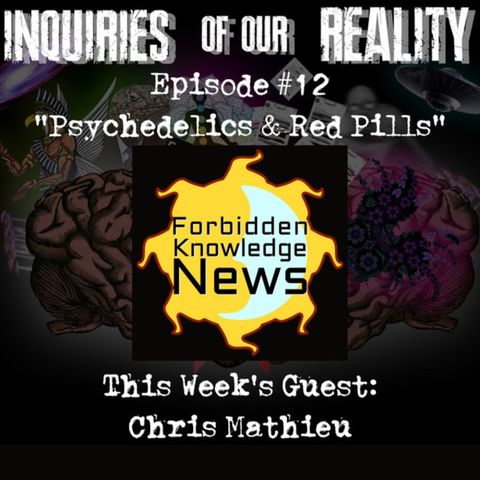 Inquiries of Our Reality Podcast: Psychedelics & Red Pills with Chris Mathieu(clip)
