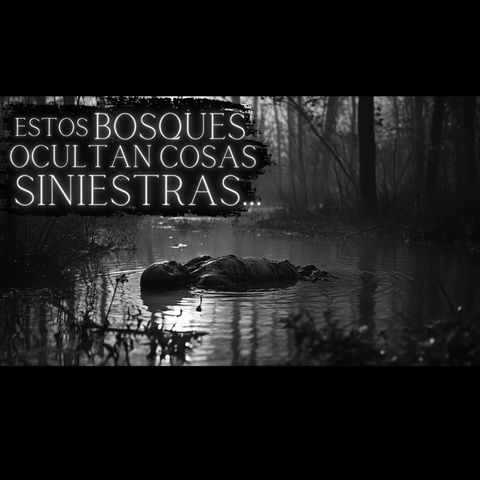 Conocías la historia de este bosque de Estados Unidos? I 3 HISTORIAS de TERROR en BOSQUES Vol. II