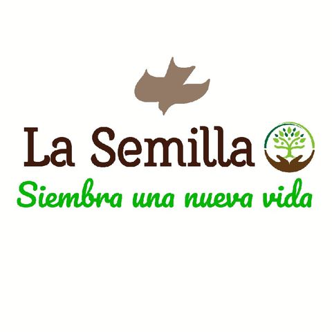 Introducción - Se Libre De Dependencias