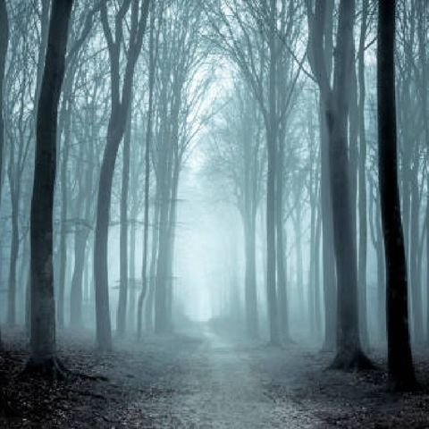 Haunting Okeechobee