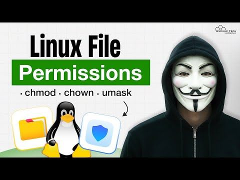 Why Are File Permissions Important In Linux? | Explained Simply