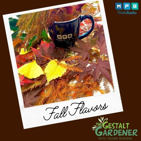 The Gestalt Gardener | Fall Flavors