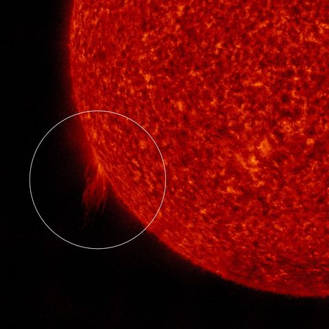 596-Next Solar Cycle