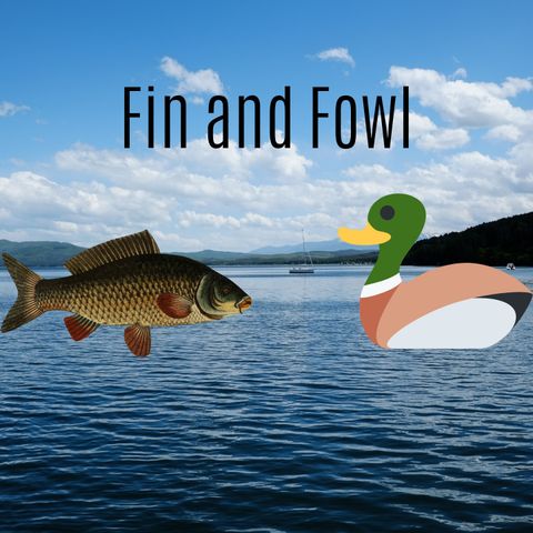 Fin and Fowl Podcast Fishing In Minnesota