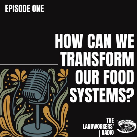 How can we transform our food systems?