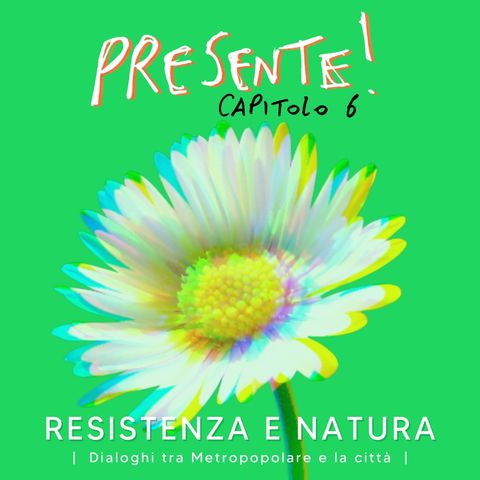 Capitolo 6 - Simone