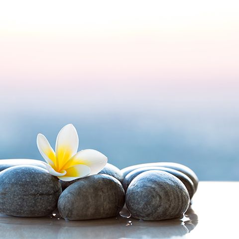 Live a Worry-Free Life