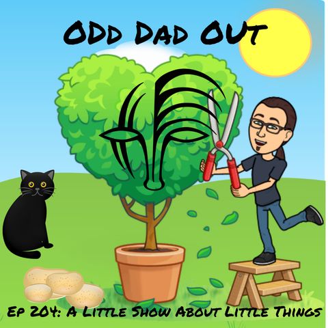 A Little Show About Little Things: ODO 204