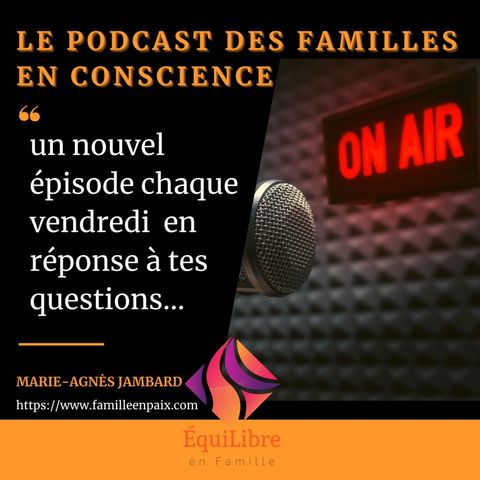 Episode 17 - Comment Vivre les crises du couple ?