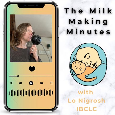 Episode 153 Juggling work, divorce, and breastfeeding a newborn with Secret Mom Hacks host Krista Dykes