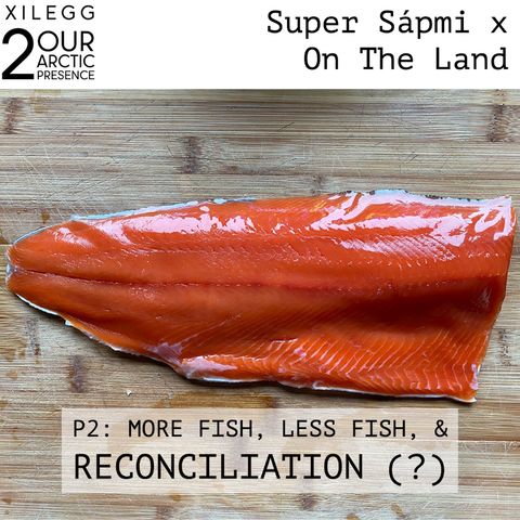 [Xilegg 3] SuperSápmi x On The Land : More Fish, Less Fish & Reconciliation (?)